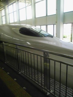 img189.jpg